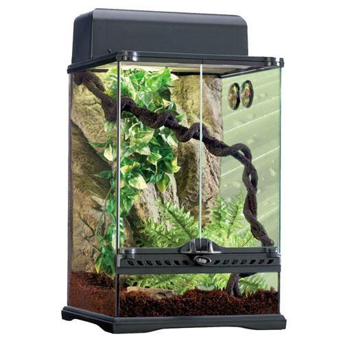 爬虫類　飼育セット　フトアゴ　リクガメ Amazon | GEX EXOTERRA フトアゴヒゲトカゲ&リクガメ飼育キット