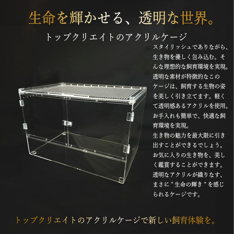 【新品未使用】爬虫類ケージ×5 アクリル　マグネット　レプタイルボックス同仕様 新品未使用】爬虫類ケージ×5 アクリルマグネットレプタイル