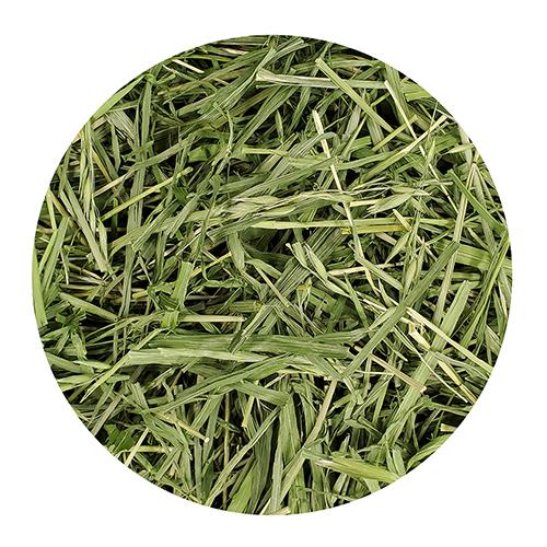 特選牧草 えん麦 45g MLP-120 マルカン(CASA) 小動物 無農薬 うさぎ モルモット チンチラ デグー |  | 01