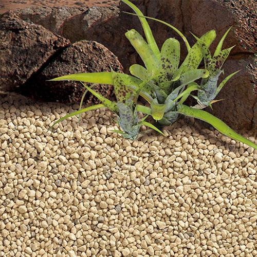 デザートベース 粗目 3L GEX(ジェックス) 爬虫類 両生類 植物 天然素材 床材 砂漠 熱帯 亜熱帯 ストレス緩和 湿度管理 乾燥地帯 トカゲ ヘビ |  | 02