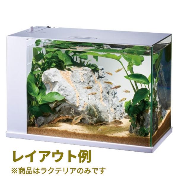 ラクテリア ホワイト Gex ジェックス アクアリウム 水槽 ろ過フィルター 水替え 簡単 淡水 海水 熱帯魚 観賞魚 グッピー ベタ 0024 餌ランド 通販 Yahoo ショッピング