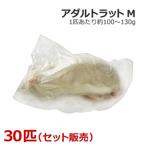 冷凍 アダルトラット Mサイズ 30匹