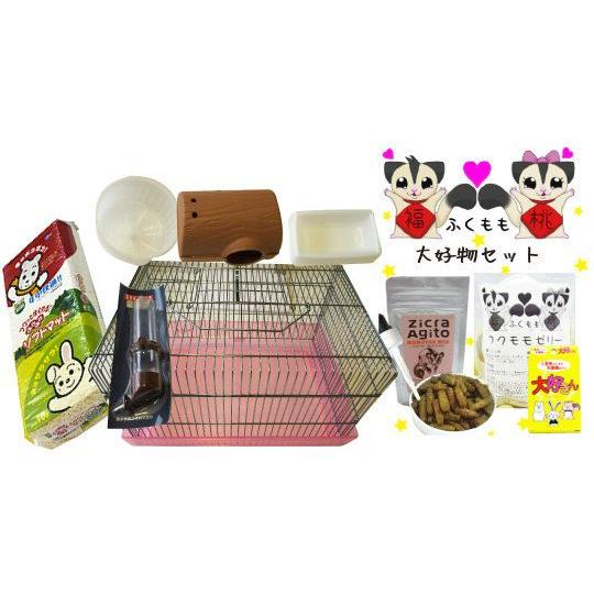 フクロモモンガ飼育セット NEW ミレニアムセットZ 餌ランド - 通販 - Yahoo ショッピング