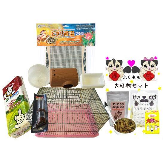 フクロモモンガ飼育セット NEW ミレニアムセットZ ヒーター付き : 餌