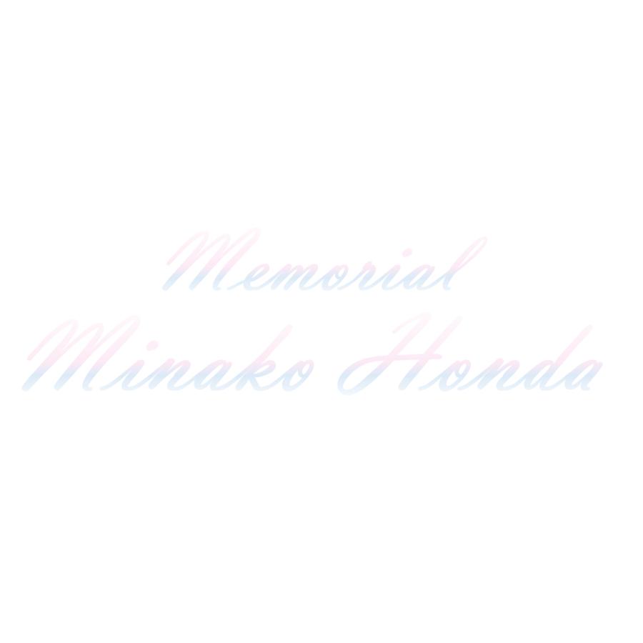 本田美奈子.アクリルスタンド(本田美奈子.ポストカード付 本田美奈子.アクリルスタンド(本田美奈子.ポストカード付