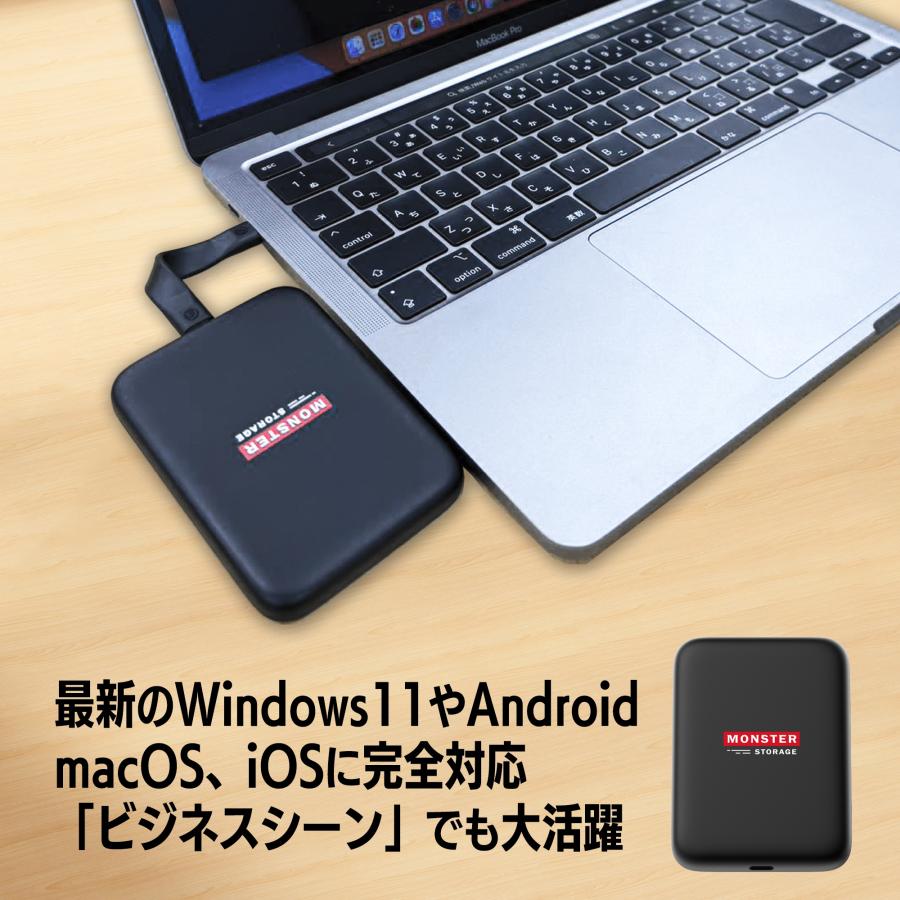 Monster Storage マグネット式 ポータブルSSD 2TB 1cmスリムボディー USB3.2 Gen2x2 Type-C 転送速度2,000MB/s Apple ProRes Log撮影対応 MS-PSD002T2LPの画像