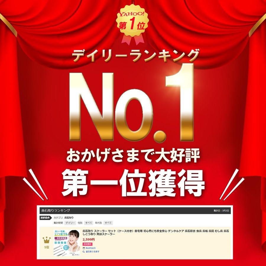 クーポンで引き！ 歯石取り スケーラー ケース付き 一般医療機器 初心者向け 器具 デンタルケア 犬 歯科 歯垢 ペット オーラルケア 送料無料 | ブランド登録なし | 01