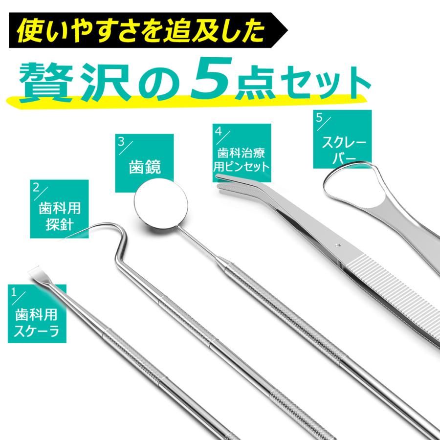 歯石取り スケーラー ケース付き 一般医療機器 初心者向け 器具