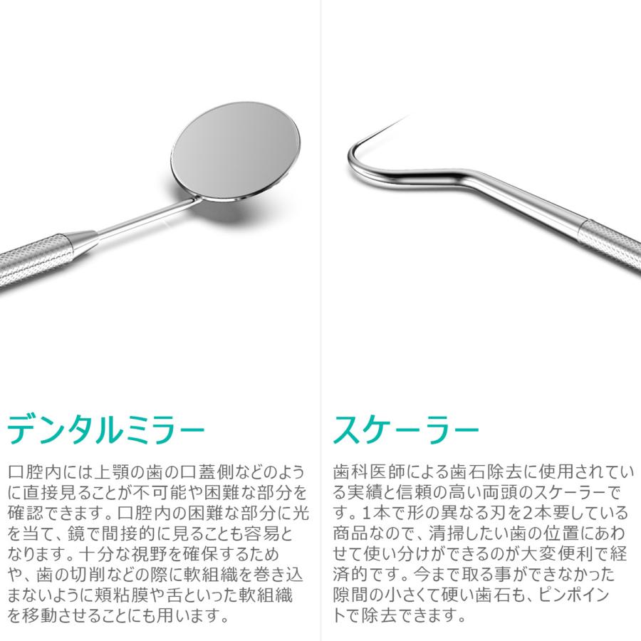 クーポンで引き！ 歯石取り スケーラー ケース付き 一般医療機器 初心者向け 器具 デンタルケア 犬 歯科 歯垢 ペット オーラルケア 送料無料 | ブランド登録なし | 11