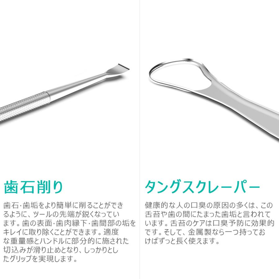 クーポンで引き！ 歯石取り スケーラー ケース付き 一般医療機器 初心者向け 器具 デンタルケア 犬 歯科 歯垢 ペット オーラルケア 送料無料 | ブランド登録なし | 12
