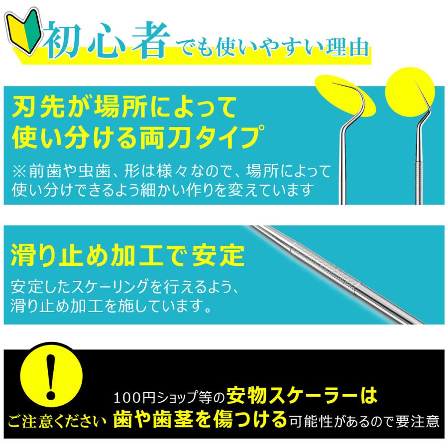 クーポンで引き！ 歯石取り スケーラー ケース付き 一般医療機器 初心者向け 器具 デンタルケア 犬 歯科 歯垢 ペット オーラルケア 送料無料 | ブランド登録なし | 03