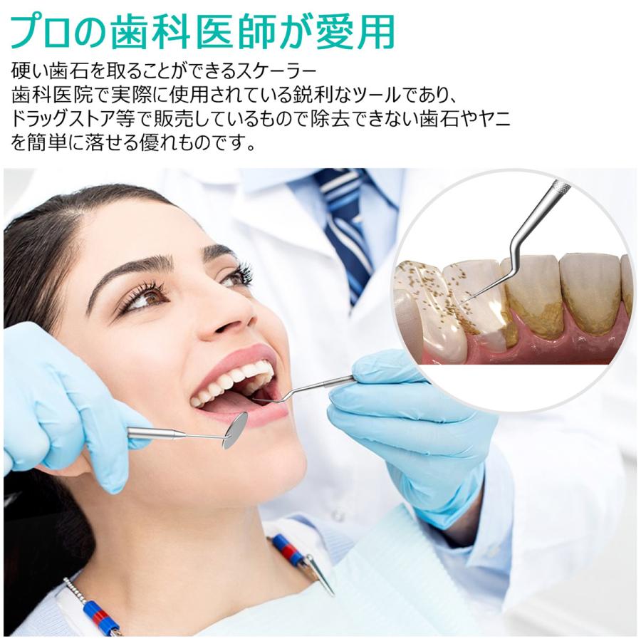 クーポンで引き！ 歯石取り スケーラー ケース付き 一般医療機器 初心者向け 器具 デンタルケア 犬 歯科 歯垢 ペット オーラルケア 送料無料 | ブランド登録なし | 08