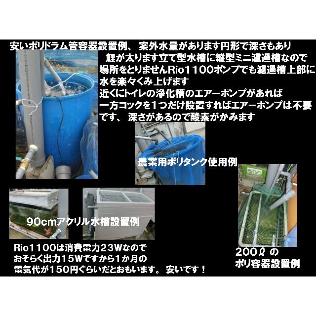 錦鯉 送料3000円 濾過槽 愛のベスト式ミニ濾過槽Rio1100