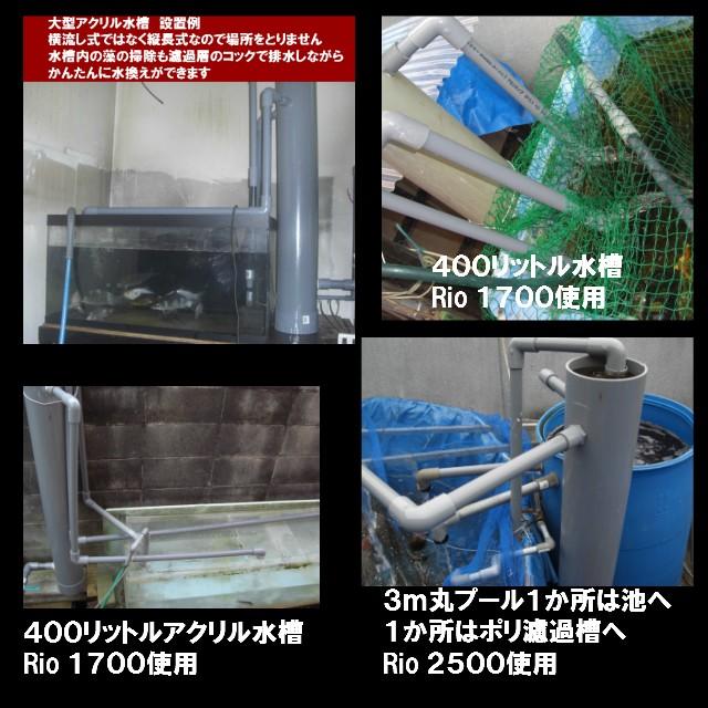 濾過装置 Rio3100ポンプ付 西日本用 錦鯉 No.3102 送料3000円  