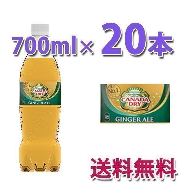コカ・コーラ社製品 カナダドライ ジンジャーエール PET 700ml 1ケース 20本｜bestone1｜02