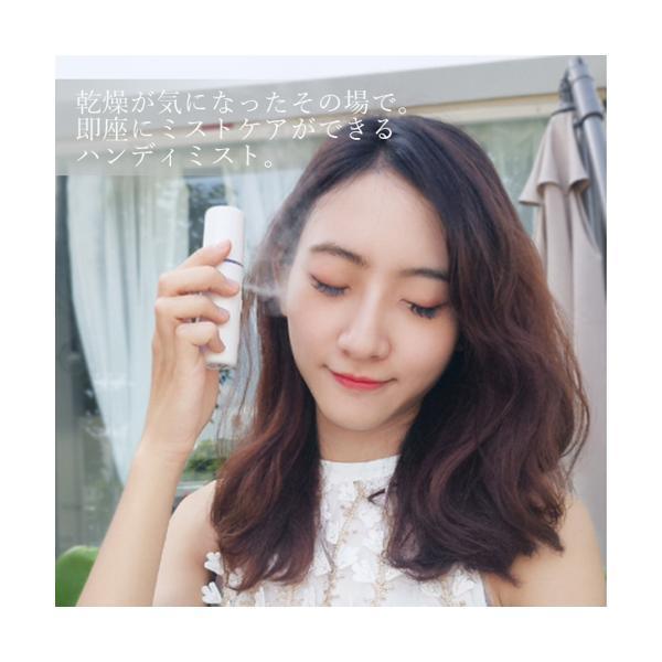 ハンディミスト 美顔器 スチーマー フェイススチーマー 携帯 加湿器