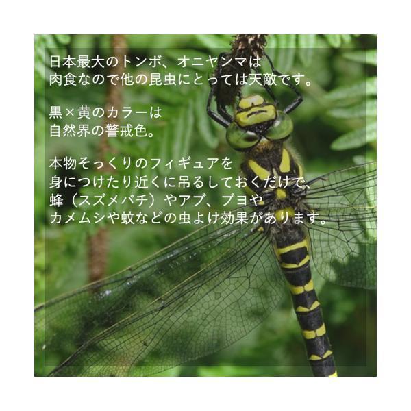 オニヤンマ おにやんま 虫除け 12cm フィギュア トンボ 昆虫
