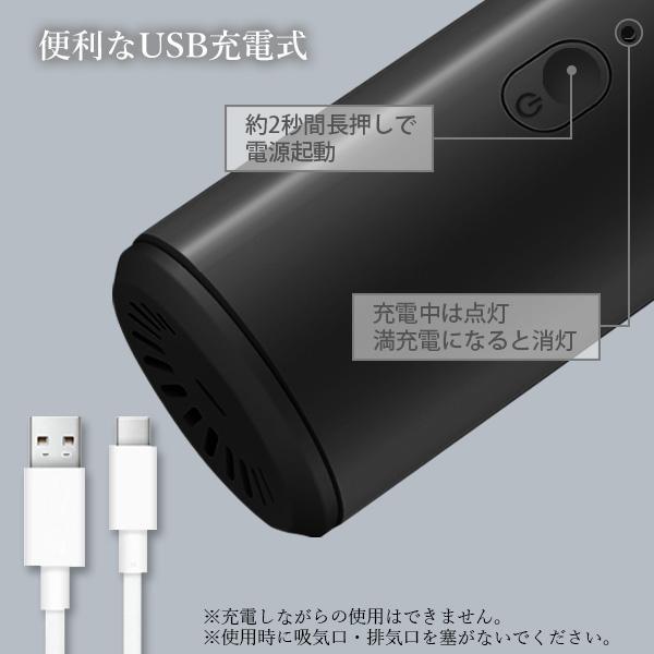 ハンディクリーナー ブラック USB充電式 コードレス Type-C 車載掃除機