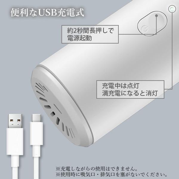 ハンディクリーナー ホワイト USB充電式 コードレス Type-C 車載掃除機