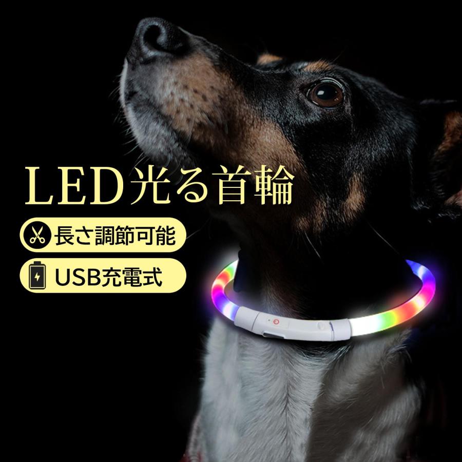 犬 猫 光る 首輪 LED レインボー 夜間 ペット 散歩 ライト USB 充電
