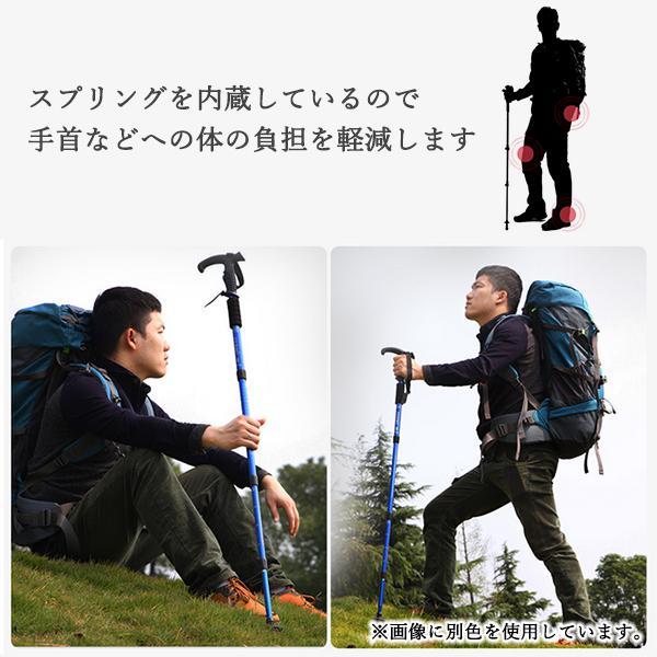 トレッキングポール ウォーキングポール ブラック 登山 ストック