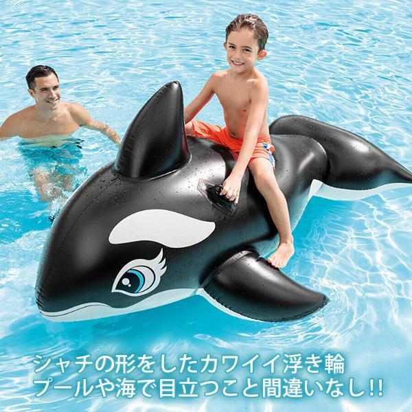【オーダー用】夏ビーチ① カッティングダイ 海水浴 シャチ 浮き輪 イルカ 浮き輪 シャチ 取っ手 ハンドル 浮輪 うきわ プール 海 海水浴