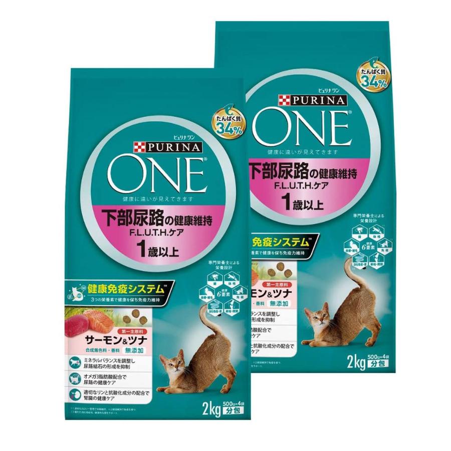 Nestle（ネスレ） 2個セット ピュリナワン キャット 下部尿路の