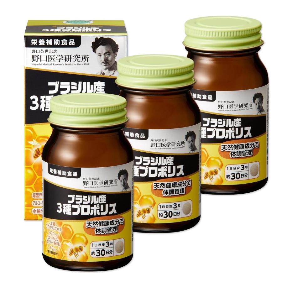 イムサエム 青い花模様とストライプの皿セット 安南手 市野吉紀 【公式
