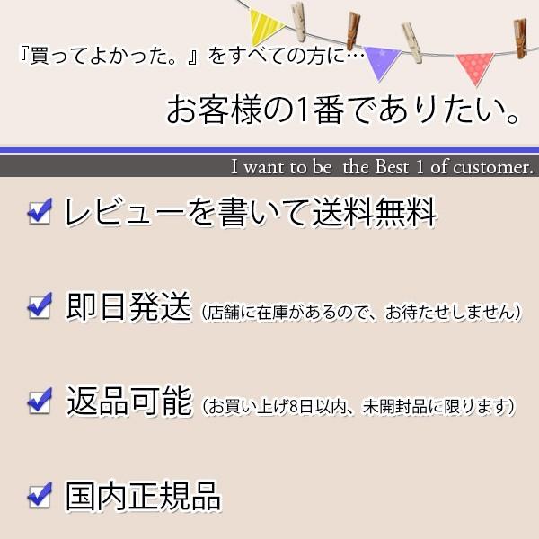 TOSHIBA（東芝） エアリオン・ワイド つめかえ用 消臭ジェル 2400 2個