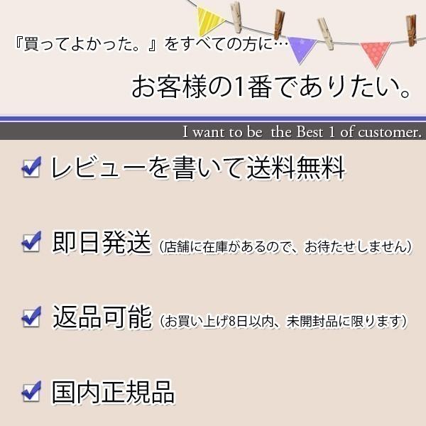 呉竹 GA432-12 書道セット 習字セット バッグ かばん GA43212 青 一式