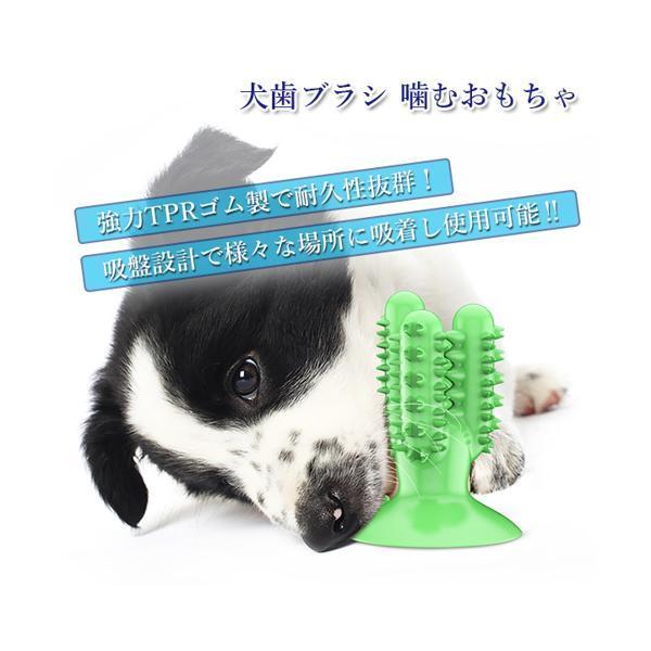 犬噛むおもちゃ 犬用歯ブラシ ペット用 ワンちゃん歯ブラシ 歯磨き 安全 歯のクリーニング 口臭予防 ベストワン 通販 Paypayモール