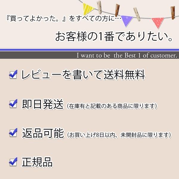 アース ペット スタミノールs 犬用 33g ベストワン 通販 Paypayモール