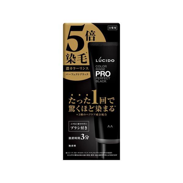 マンダム LUCIDO(ルシード) カラーリンスPRO パーフェクトブラック カラーリンス カラートリートメント 120g（Yahoo!・ベストワン）