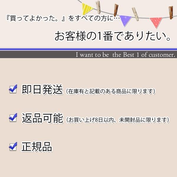 Panasonic バッテリーグリップ DMW-BGS5 Selens ハードケース カメラツールケース カメラバッグ 耐荷重55kg ハードツールケース パソコン収 CE1607510658(14794円)