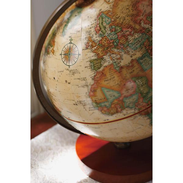 ギフト リプルーグル地球儀 チェスター型 日本語版 ブラウン 51573