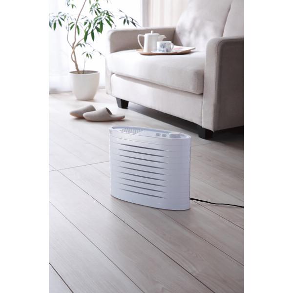 ツインバード（TWINBIRD） ギフト マイナスイオン発生空気清浄機