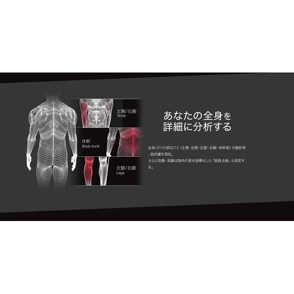 TANITA（タニタ） ギフト 左右部位別体組成計 インナースキャン