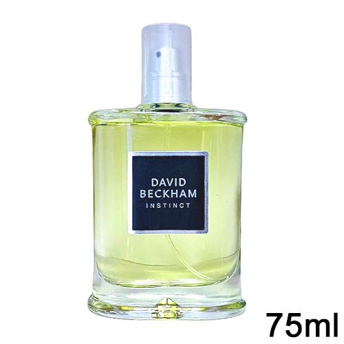 デヴィッド ベッカム デヴィットベッカム インスティンクト