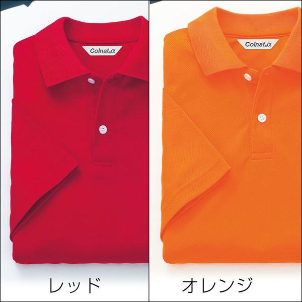 TORAY（東レ） 東レ半袖ドライポロシャツ（ポケット無） 半袖 SS