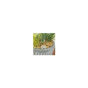 【並行輸入品】Dazzlingrock Collection (ダズリングロックコレクション) 0.50カラット (ctw) 18K ラウンドダの画像