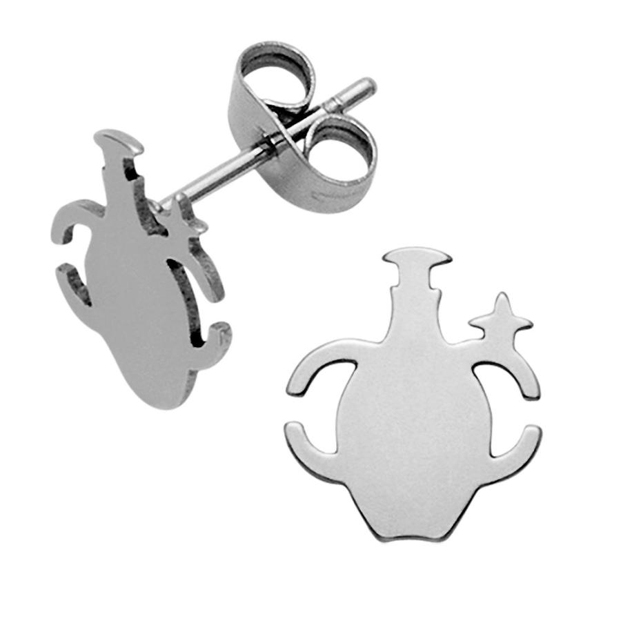【並行輸入品】Tiny Light Weight Stainless Steel Aquarius Stud Earrings