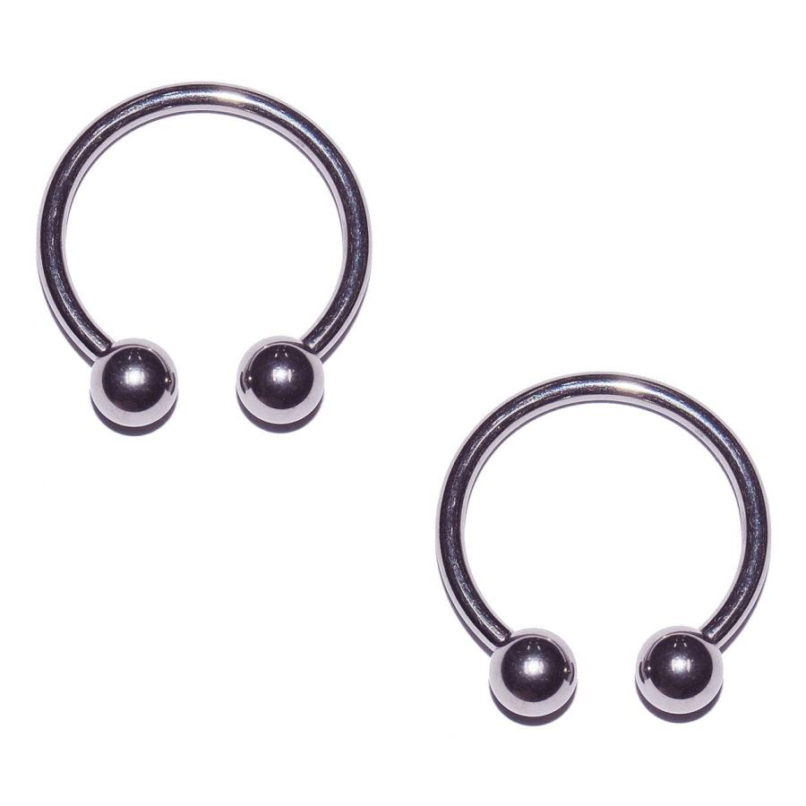【並行輸入品】Painful Pleasures 2点 12ゲージ 12g 316L ステンレススチール 円形バーベル 蹄鉄 セプタム ニップル