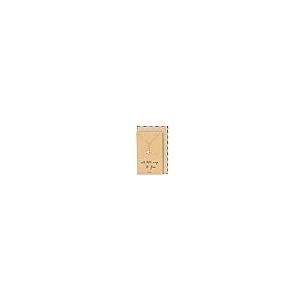 【並行輸入品】Quan Jewelry 飛行機ラリアットネックレス 上品なファッションジュエリー モチベーションを高めるギフト グリーティングカ_2