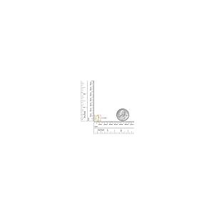 【並行輸入品】Diamond Deal 10kt イエローゴールド レディース ラウンドチャネルセット ダイヤモンドフープピアス 1/6 Cttの画像