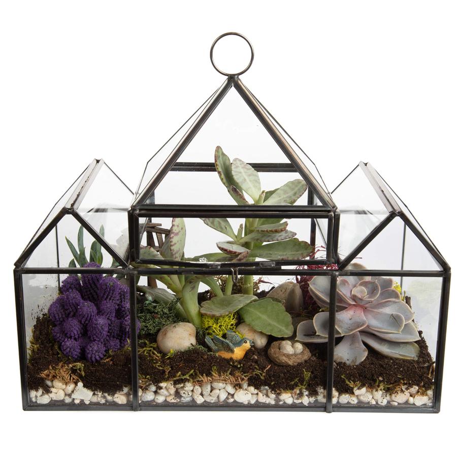 並行輸入品】デコガラス ジオメトリック DIY テラリウム 多肉植物 エア