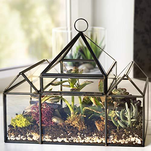 並行輸入品】デコガラス ジオメトリック DIY テラリウム 多肉植物 エア