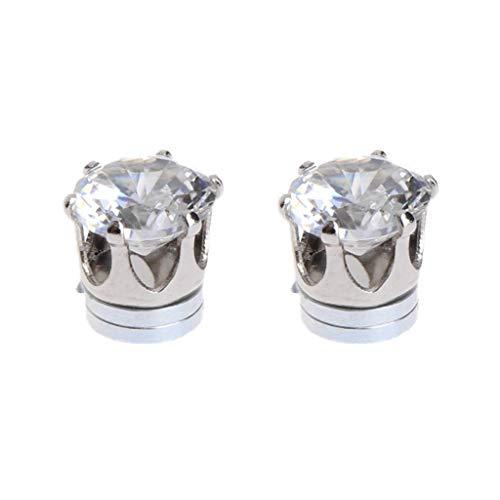 【並行輸入品】Potelin 1組 磁気ピアス ピアス ピアス ジュエリー ジルコン 男女兼用 快適で環境に優しい, ジルコン Potelin
