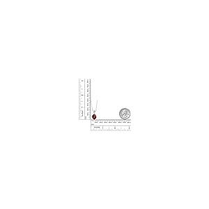 【並行輸入品】[Gem Stone King] 3.69カラット 天然 ガーネット ネックレス レディース ラボグロウンダイヤモンド シルバー9の画像