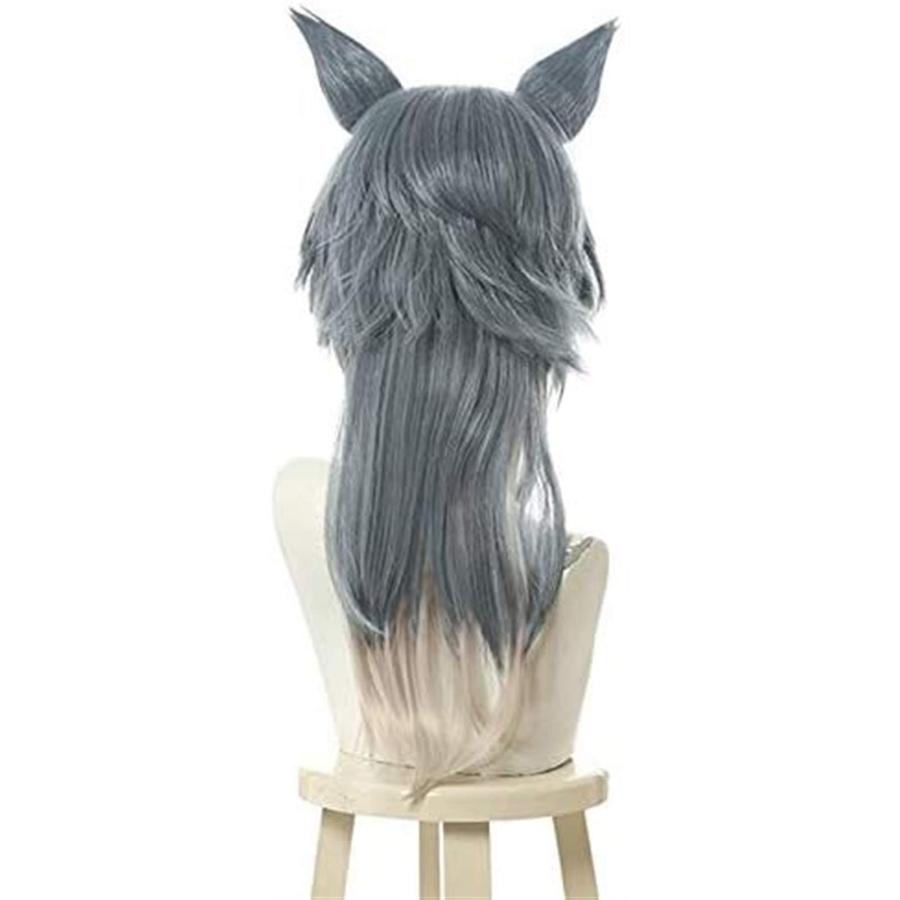 MAGGAZ KEEBON Beastars Legoshi Cosplay Wigs Wolf Mix Gray Short  並行輸入品｜bestshop-d｜04