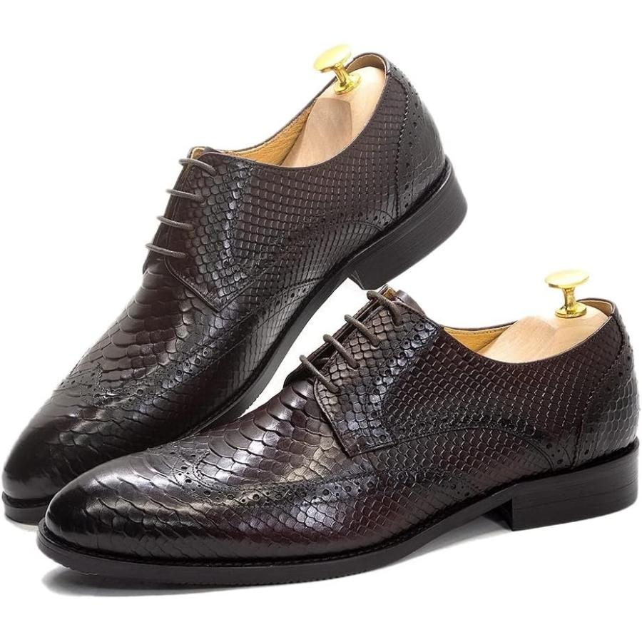 【並行輸入品】Rui Landed Men Formal Dress Shoes Pointed Toe Lace Up Faux Snake Skiの画像